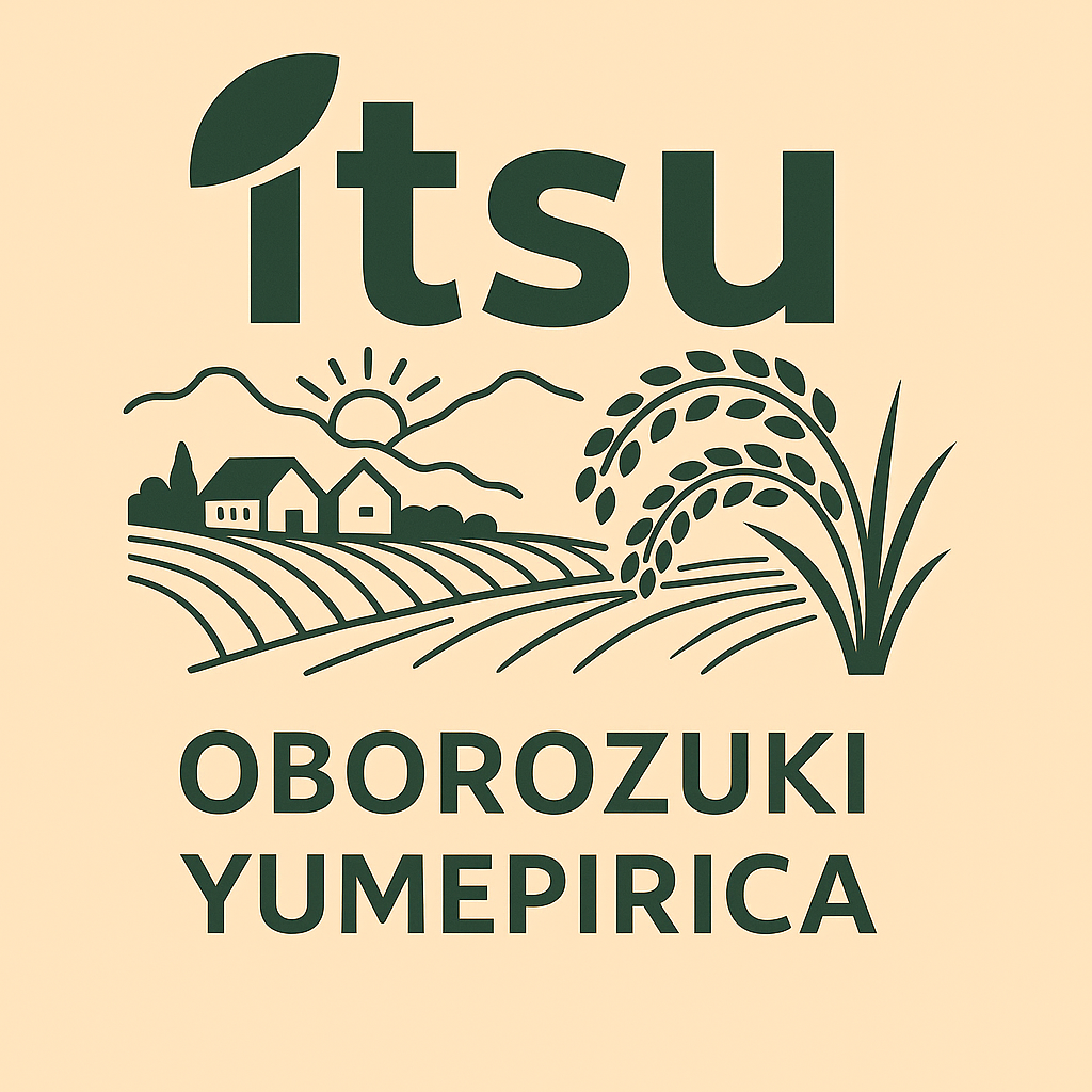 北海道新篠津村産 おぼろづき・ゆめぴりかお試しセット(各2Kg)
