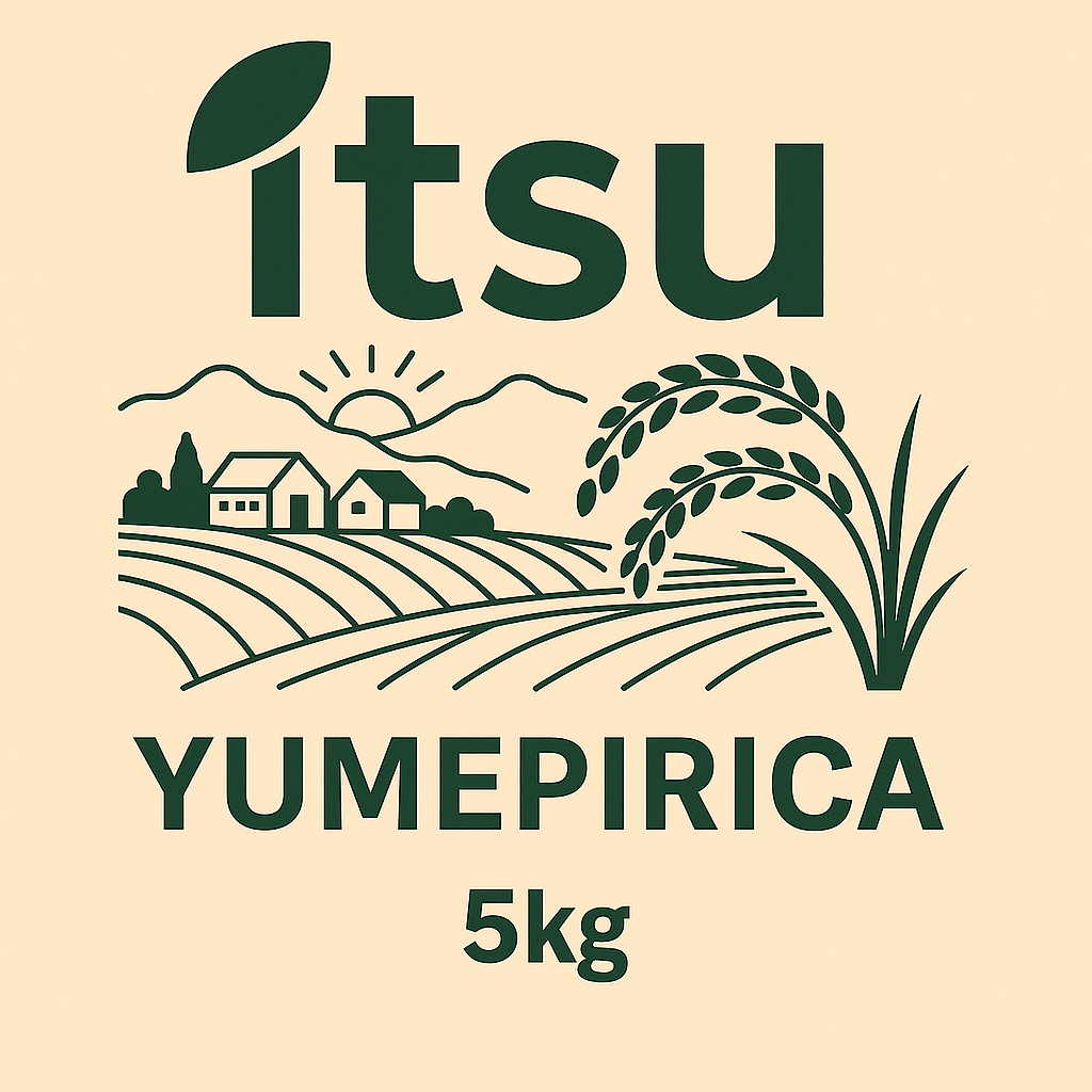 北海道新篠津村産 ゆめぴりか 5Kg