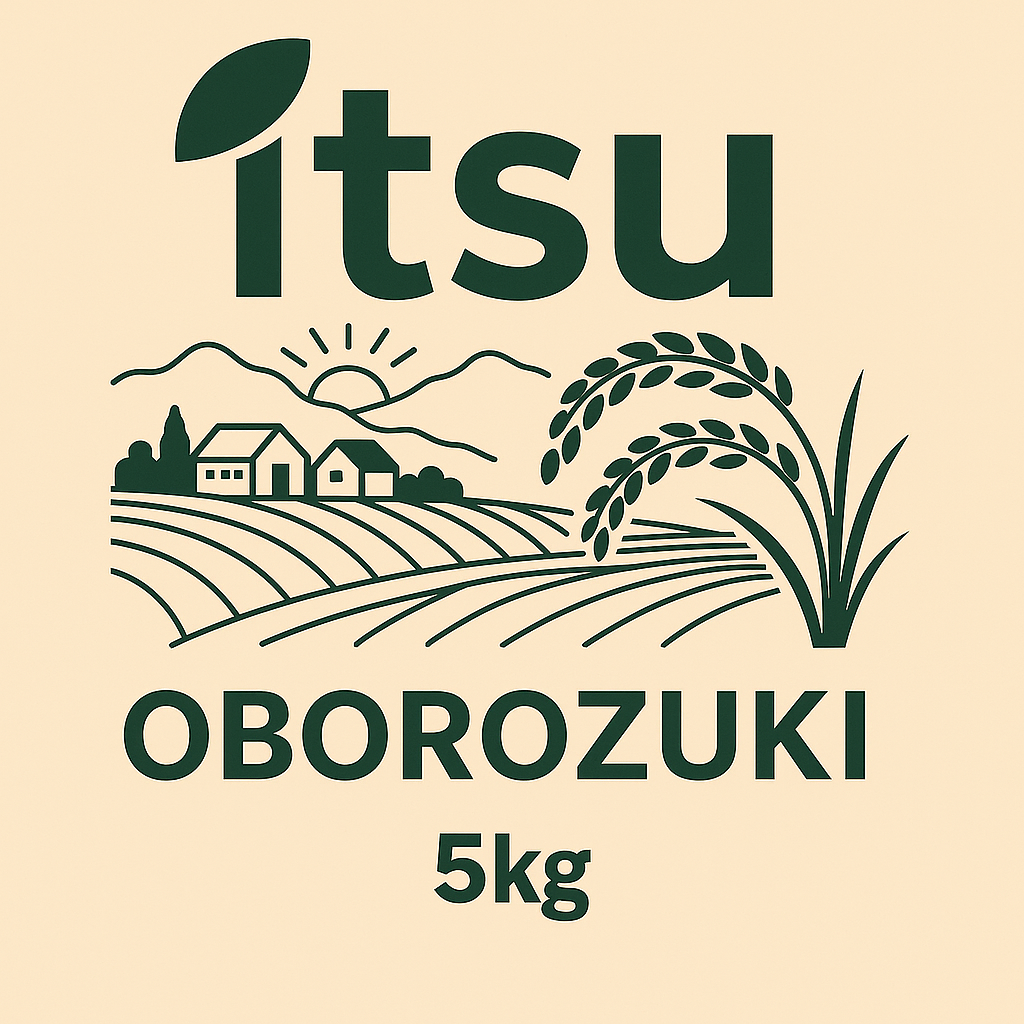 北海道新篠津村産 おぼろづき ５Kg