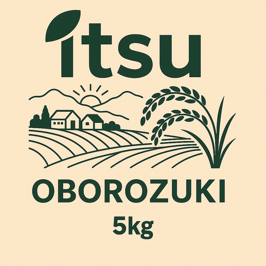 北海道新篠津村産 おぼろづき ５Kg